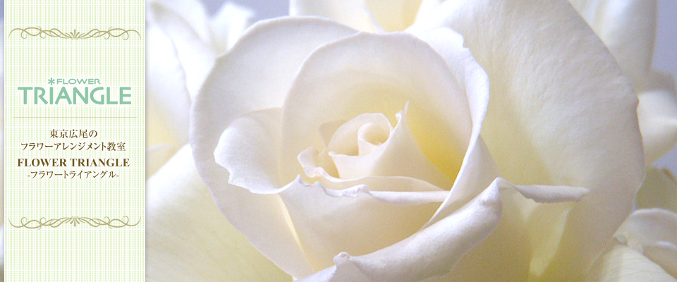 FLOWER TRIANGLE ���֤ΡȤ������ɤ��Ϥ����롡���ֲ�����&������