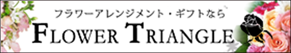 FLAWER TRIANGLE