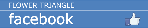 Fanpage