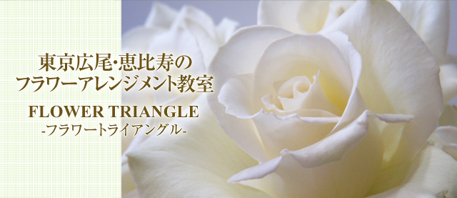 Υե󥸥ȶFLOWER TRIANGLE եȥ饤󥰥